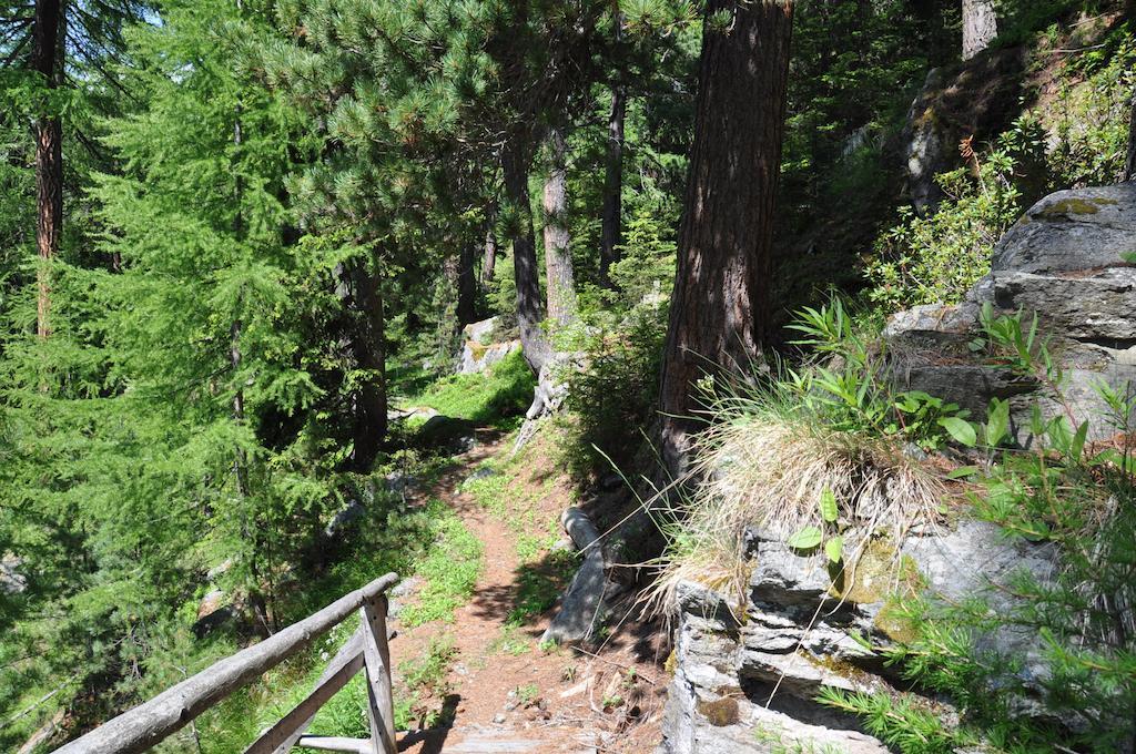 Hotel Gebidem Visperterminen Bagian luar foto