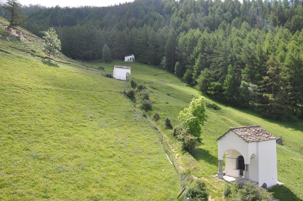 Hotel Gebidem Visperterminen Bagian luar foto